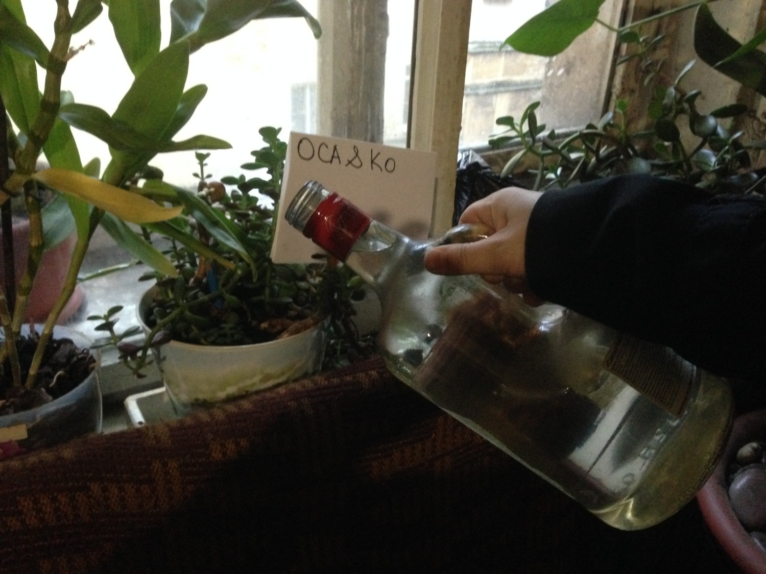 thumb_show.php?i=3qkm7qjr