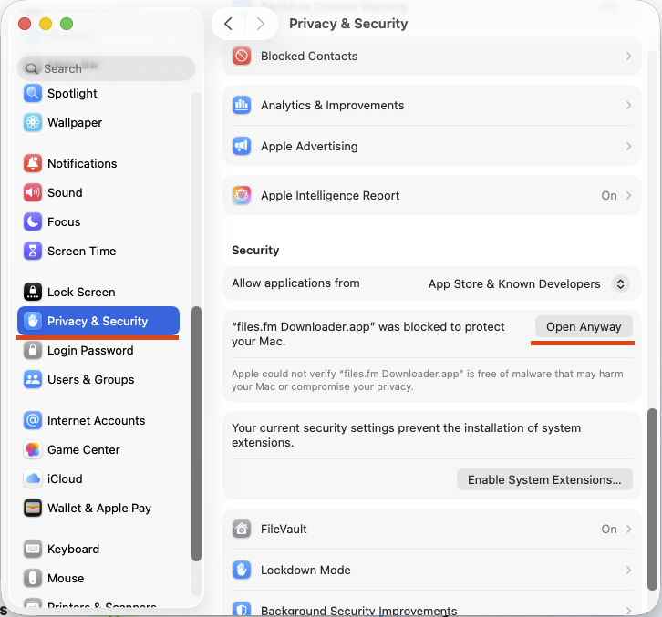 macOS Privacy and Security Open Anyway setting