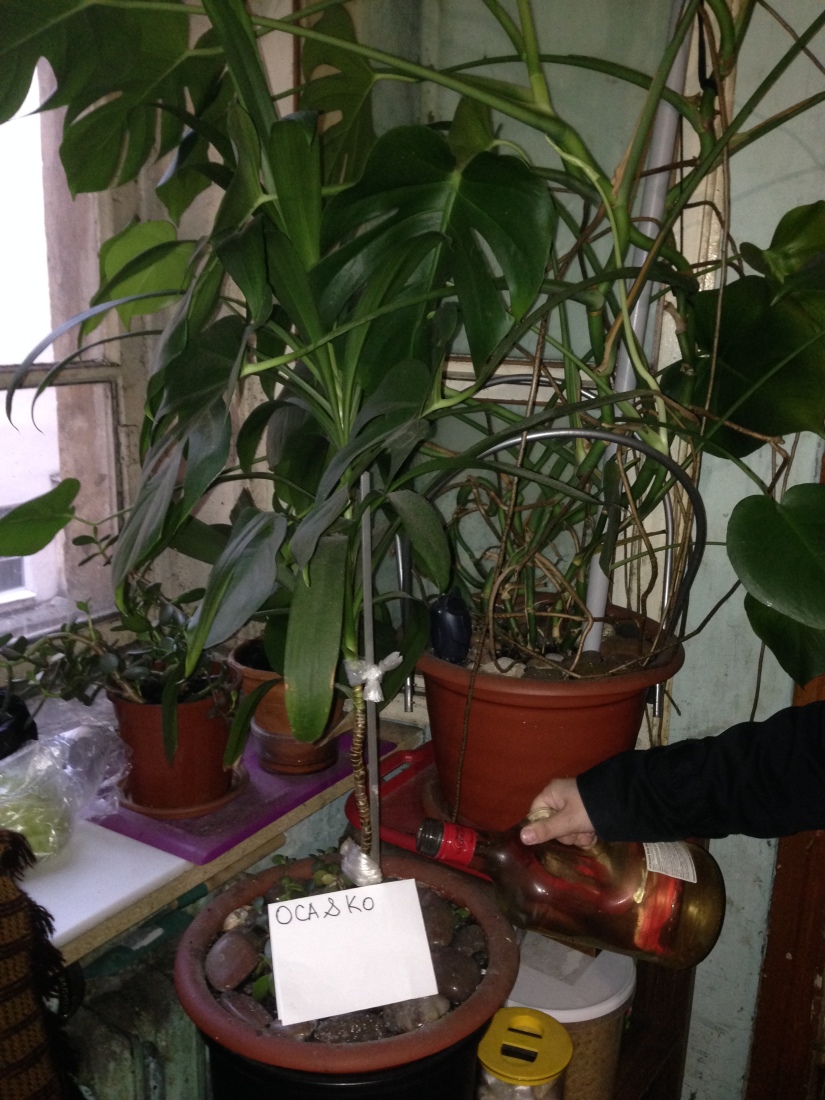 thumb_show.php?i=ar29vxbm